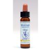 Mustard - Enkeltmidler 10 ml