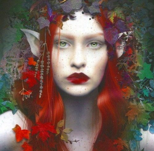 The Faery Forest Orakel Kort - Lucy Cavendish
