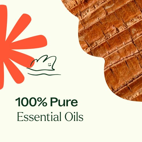 1 Chakra (rotchakra) - Grounding Foundation Eterisk Olje 10 ml. - Bilde 4