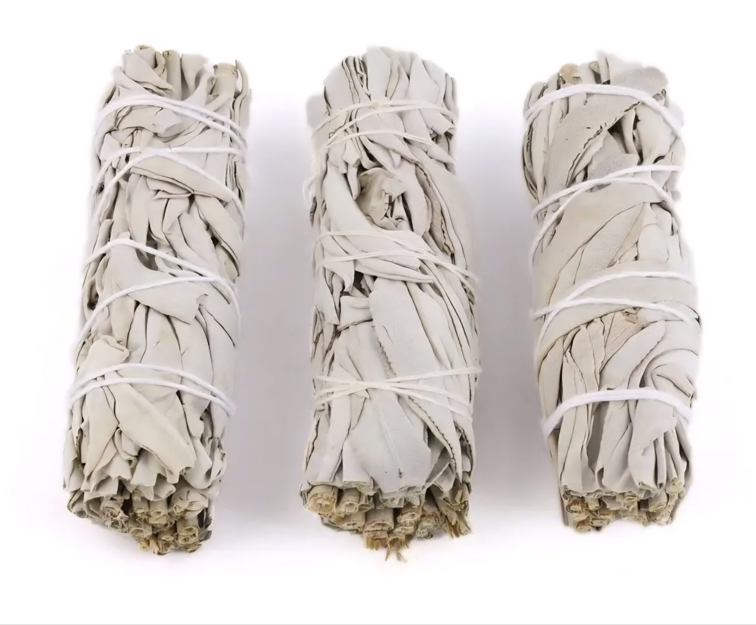 California Hvit Salvie Smudge Stick 7,5–10 cm - Bilde 3