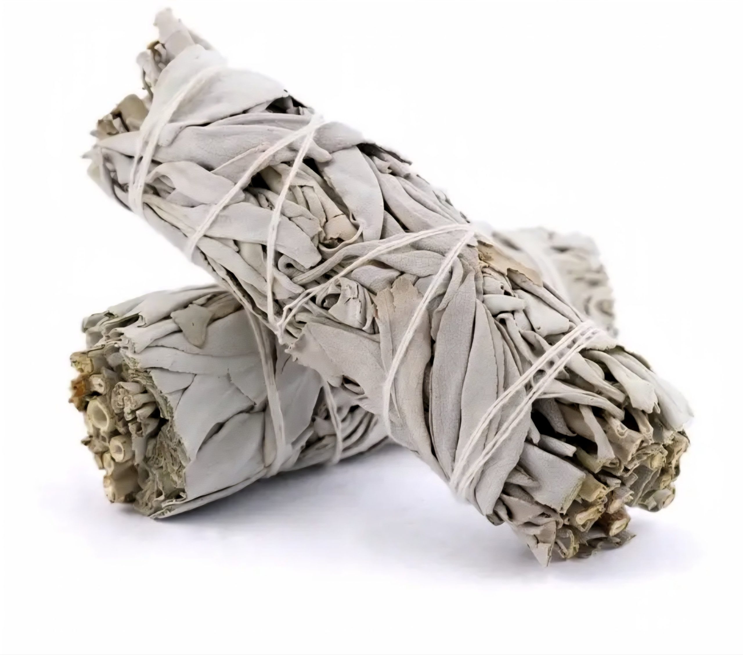California Hvit Salvie Smudge Stick 7,5–10 cm - Bilde 2