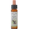 Aspen - Essens 10 ml.