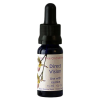 Direct Vision Essens 15 ml