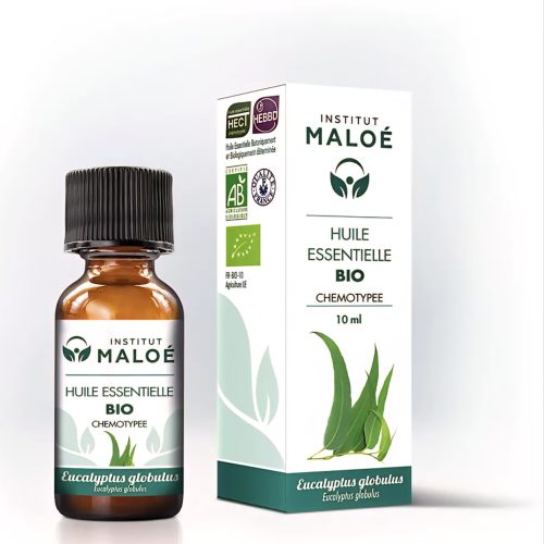 Eucalyptus Globulus økologisk eterisk olje - 10 ml