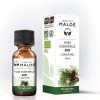 Furu økologisk eterisk olje - 10 ml