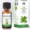 Grønnmynte økologisk eterisk olje - 10 ml