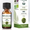 Balsamgran økologisk eterisk olje - 10 ml