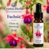 Fuchsia – Crystal Herbs 10 ml blomsteressens, illustrasjon av slank dråpeflaske
