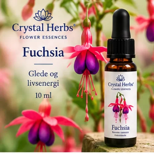 Fuchsia – Crystal Herbs 10 ml blomsteressens, illustrasjon av slank dråpeflaske