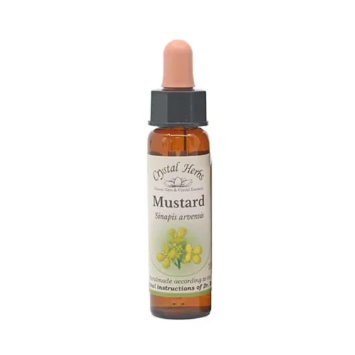 Mustard – Bach blomsteressens Crystal Herbs 10 ml