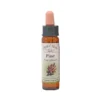 Pine – Bach blomsteressens Crystal Herbs 10 ml