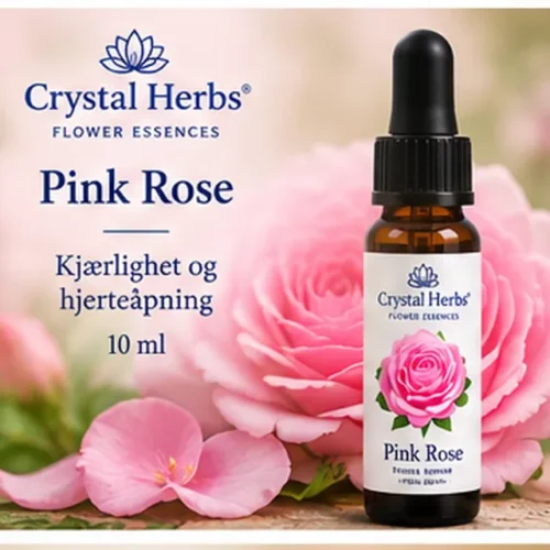 Pink Rose – Crystal Herbs 10 ml blomsteressens, illustrasjon av slank dråpeflaske