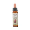 Red Chestnut – Bach blomsteressens Crystal Herbs 10 ml