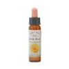 Rock Rose – Bach blomsteressens Crystal Herbs 10 ml