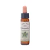 Scleranthus – Bach blomsteressens Crystal Herbs 10 ml