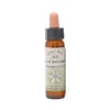 Star of Bethlehem – Bach blomsteressens Crystal Herbs 10 ml