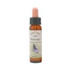 Vervain – Bach blomsteressens Crystal Herbs 10 ml