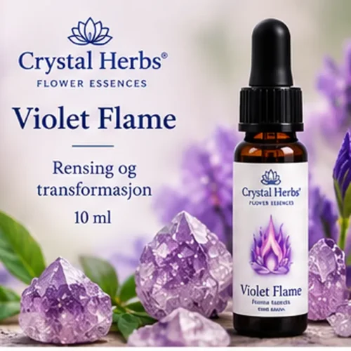 Violet Flame – Crystal Herbs 10 ml blomsteressens, illustrasjon av slank dråpeflaske