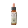 White Chestnut – Bach blomsteressens Crystal Herbs 10 ml
