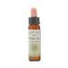 Wild Oat – Bach blomsteressens Crystal Herbs 10 ml