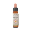 Wild Rose – Bach blomsteressens Crystal Herbs 10 ml