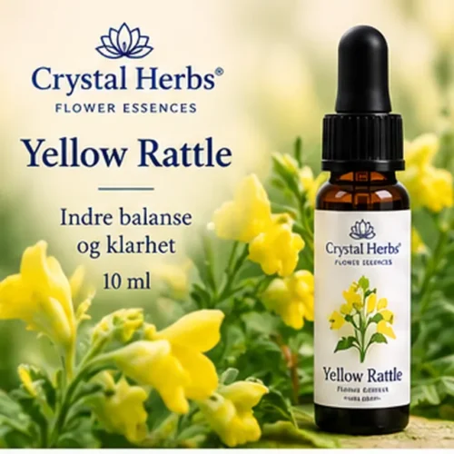 Yellow Rattle – Crystal Herbs 10 ml blomsteressens, illustrasjon av slank dråpeflaske